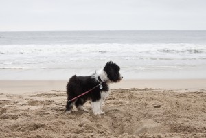 my first time at the beach