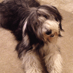 When you're talking to me I'm listening very carefully